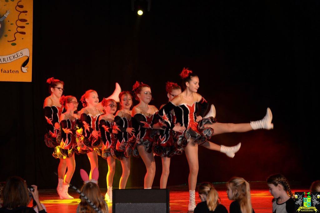 ../Images/Dansmarieke festival 2018 112.jpg